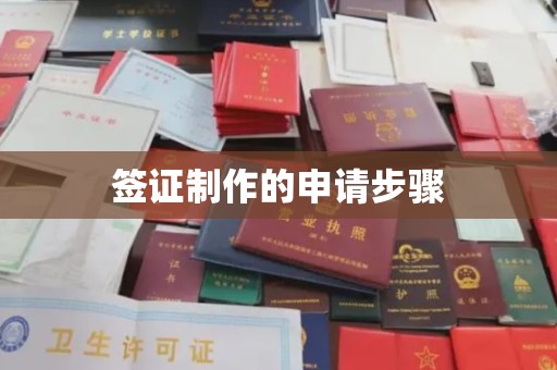 兴和签证制作的申请步骤