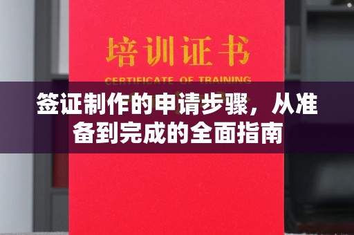 兴和签证制作的申请步骤，从准备到完成的全面指南
